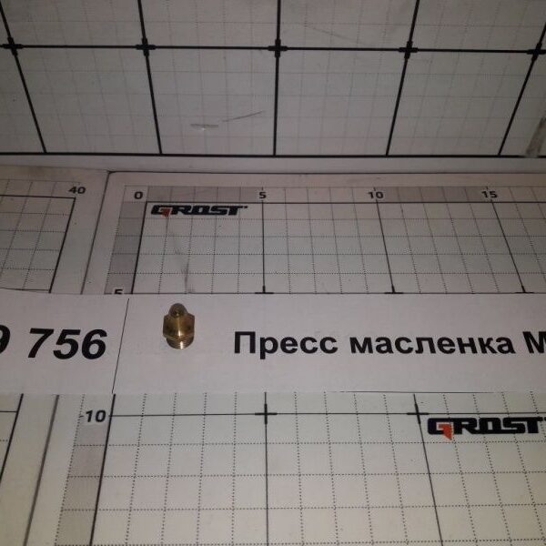Пресс масленка M10x1